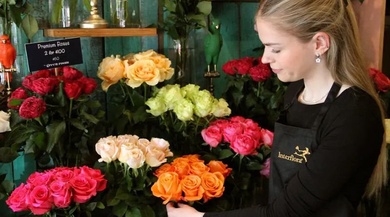 How to Use the Rose: A Guide to This Timeless Flower