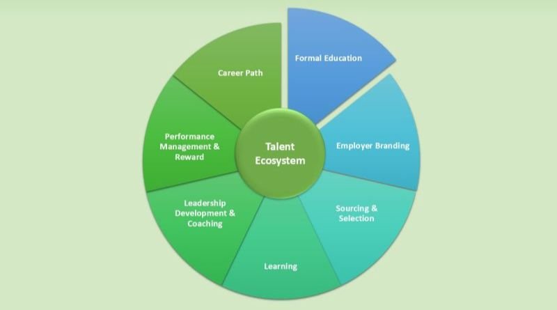Crafting a Winning Recruitment Framework: A Practical Guide